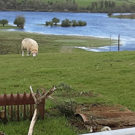 Hawthorn Lodge Belturbet Kültér fotó