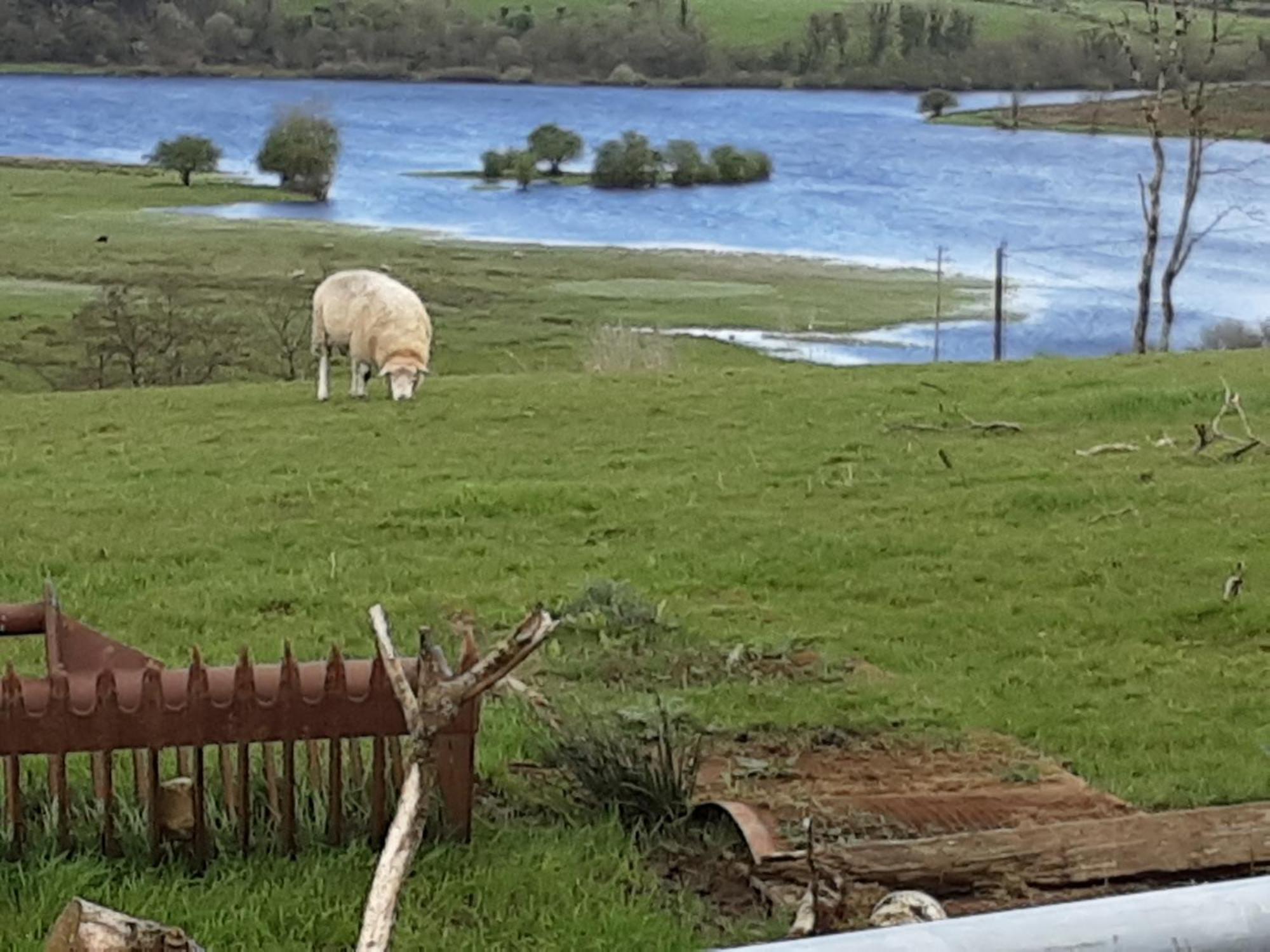 Hawthorn Lodge Belturbet Kültér fotó