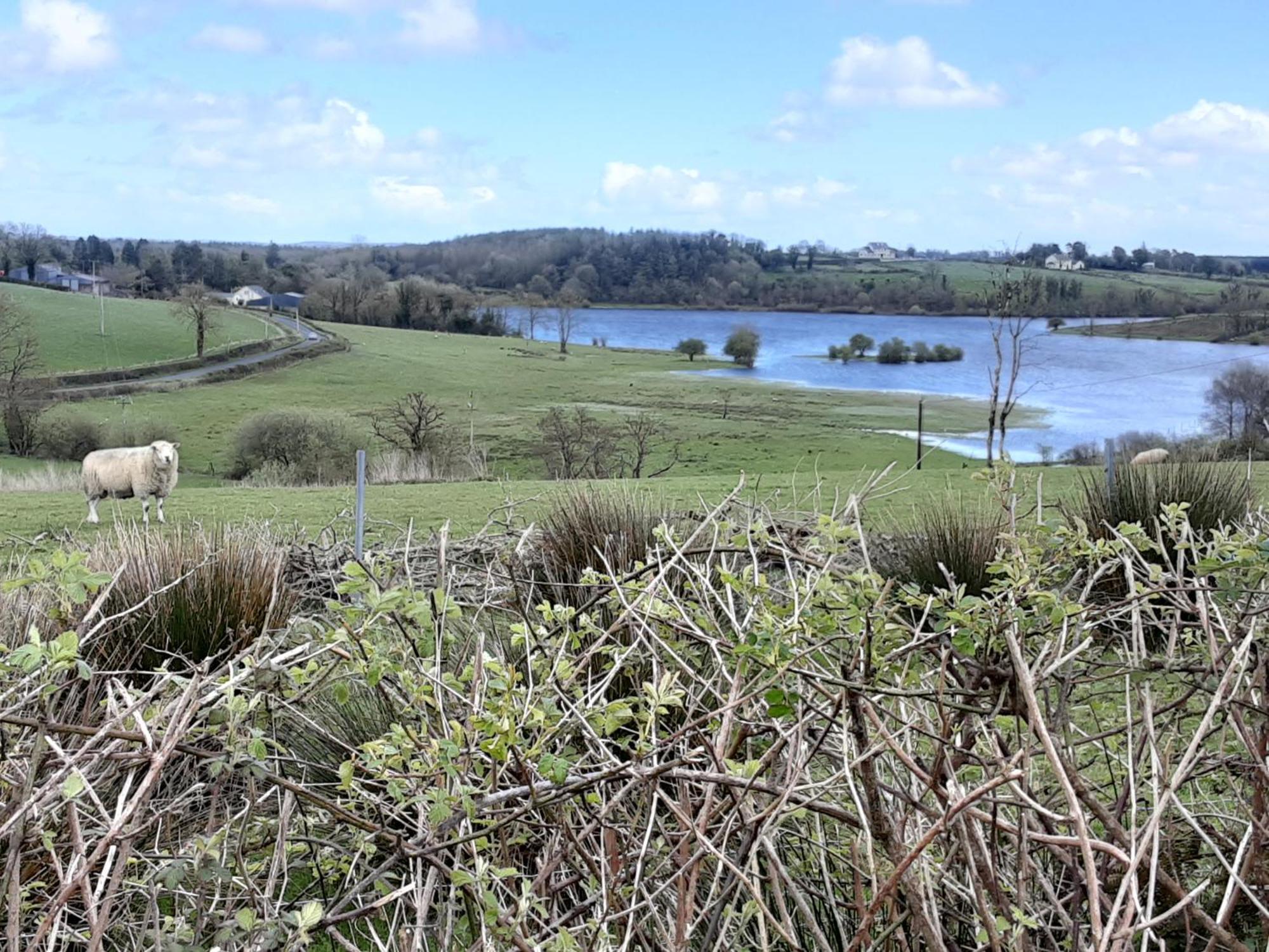 Hawthorn Lodge Belturbet Kültér fotó